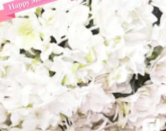 母の日ギフト 駅前花市 豊岡市の花屋