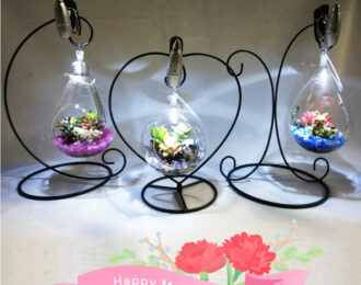 【先行予約】母の日 多肉植物 ナイト・テラリウム ハート しずく 電球