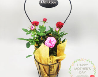 【先行予約】母の日 薔薇 バラ ハート サンキューバスケット ミニバラ お花 プレゼント お祝い 贈り物 送料無料