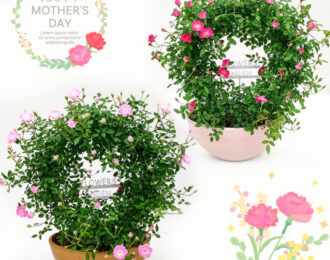 【先行予約】母の日 薔薇 バラ リング仕立て ミニバラ お花 プレゼント お祝い 贈り物